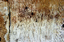 _DSC0401%20(1)