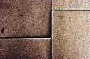 _DSC0408%20(1)