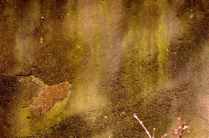 _DSC0500