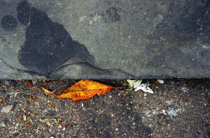 _DSC0638%20(1)