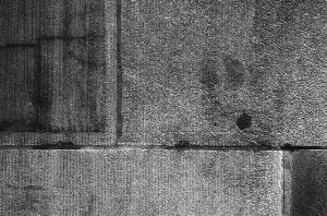 _DSC0649%20(1)
