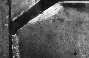 _DSC0652%20(1)