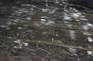 _DSC0682%20(1)