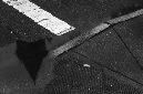 _DSC0483