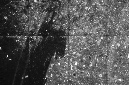 _DSC0555