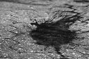 _DSC0561