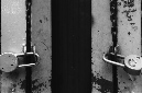 _DSC0596