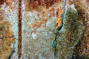 _DSC0619