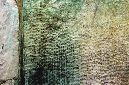 _DSC0637%20(1)
