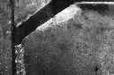 _DSC0652%20(1)