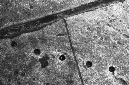 _DSC0663%20(1)