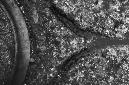 _DSC0665%20(1)