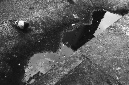 _DSC0688%20(1)