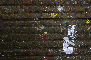 _DSC0701%20(1)