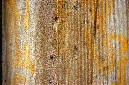 _DSC0705%20(1)