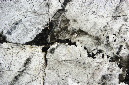 _DSC0708%20(1)