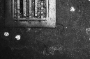 _DSC0716