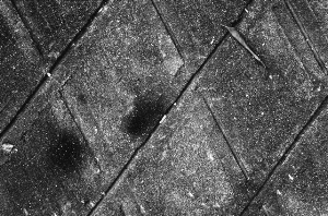 _DSC1178