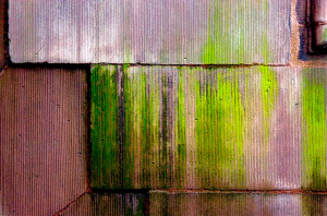 _DSC1288