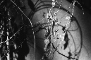_DSC1129