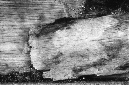 _DSC1196