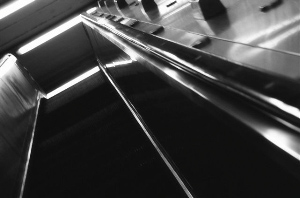 _DSC3350%20(1)