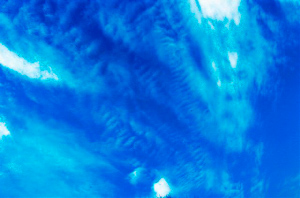 _DSC3365%20(1)