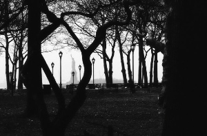 _DSC3377%20(1)