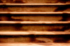 _DSC3412%20(1)