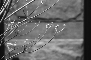 _DSC3428%20(1)