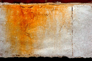 _DSC3477%20(1)