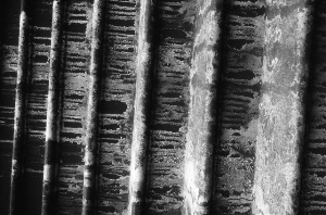 _DSC3496%20(1)