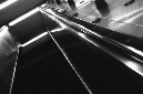 _DSC3350%20(1)