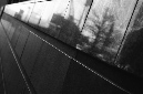 _DSC3356%20(1)