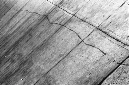 _DSC3361%20(1)