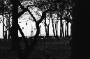 _DSC3377%20(1)