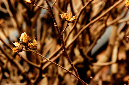 _DSC3404%20(1)