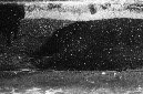 _DSC3432%20(1)