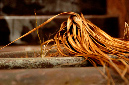 _DSC3437%20(1)