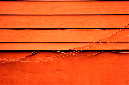_DSC3461%20(1)