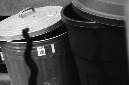 _DSC3470%20(1)