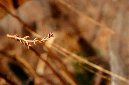 _DSC3480%20(1)