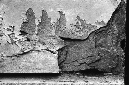 _DSC3487%20(1)