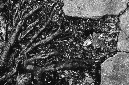 _DSC3499%20(1)