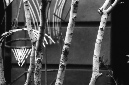 _DSC3500%20(1)