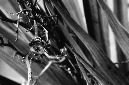 _DSC3503%20(1)