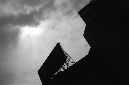 _DSC3510%20(1)