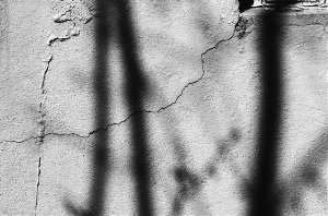 _DSC4162%20(1)