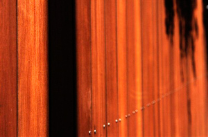 _DSC4196%20(1)