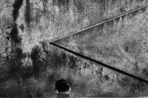_DSC4216%20(1)